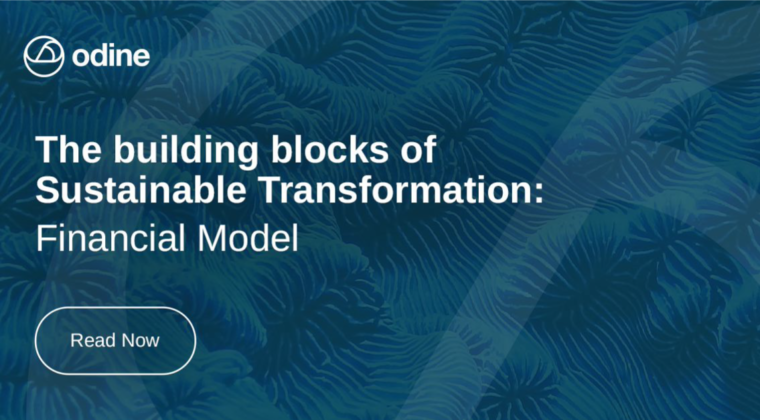 The building blocks of Sustainable Transformation: Financial Model